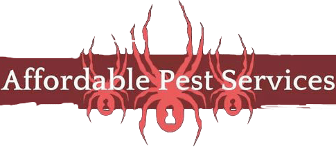 Affordable Pest Services logo with spider design.